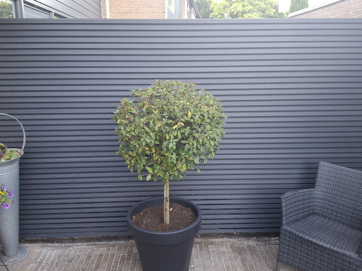 Composite Cladding - Dark Grey